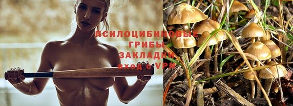винт Вяземский