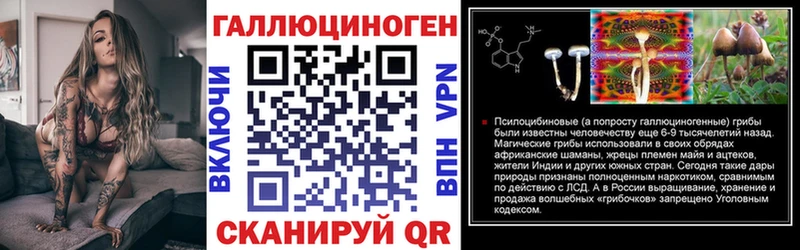 Псилоцибиновые грибы Psilocybe  Изобильный 